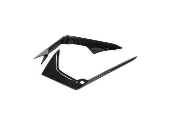 NOVITEC L6 444 12 Front Cover, Visible Carbon for LAMBORGHINI Revuelto 2023-
